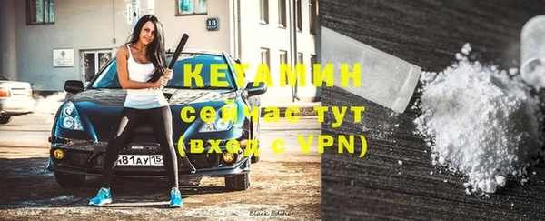 крисы Алексин