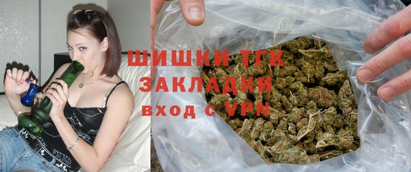 стаф Алзамай