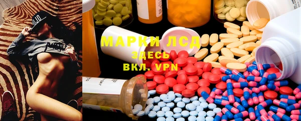 стаф Алзамай