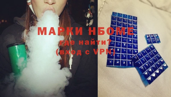 стаф Алзамай